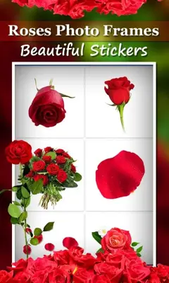 Roses photo frames Animated android App screenshot 2